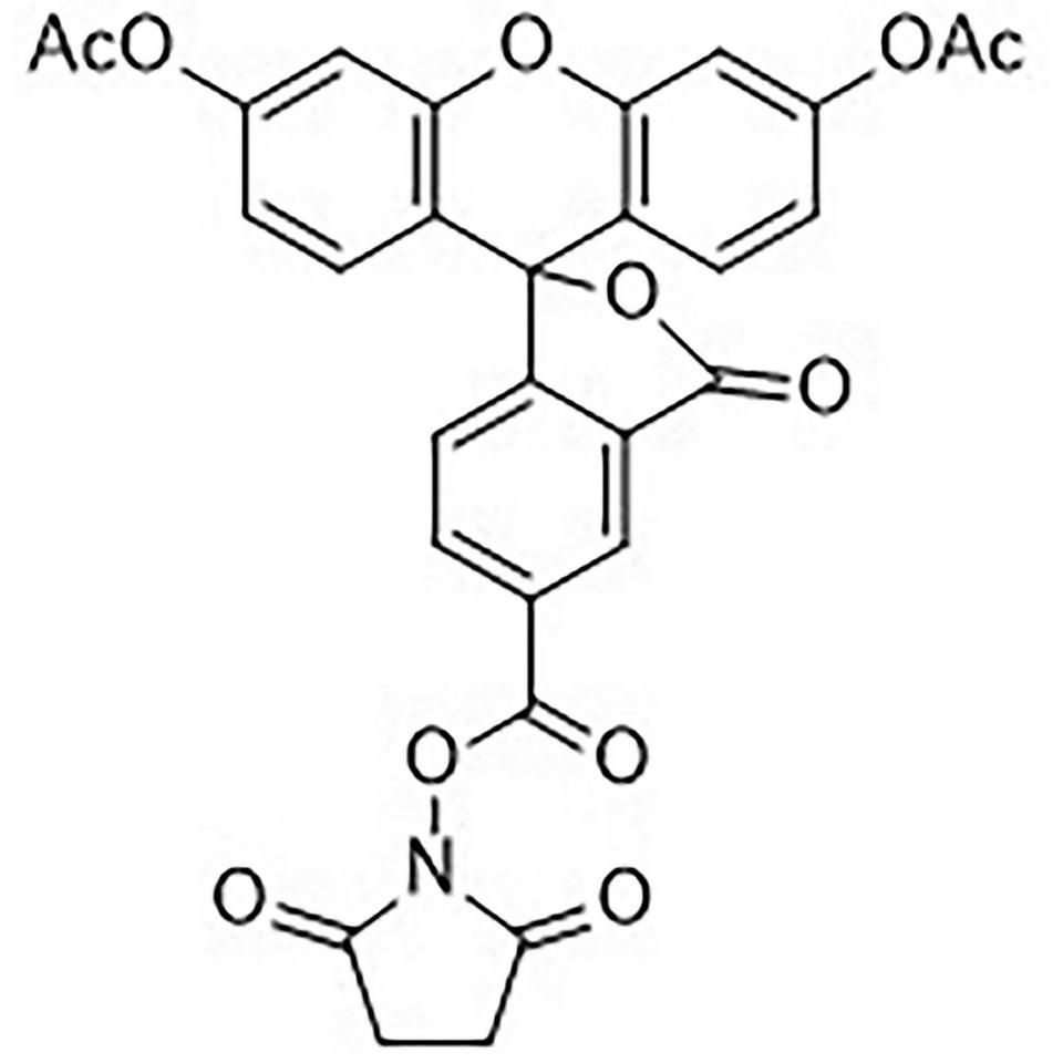 5-Carboxyfluorescein Diacetate N-Hydroxysuccinimide Ester